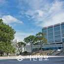 남리5일시장 이미지