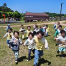 홍익늘푸른어린이집 이미지