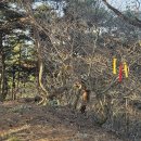 샤브작샤브작 이미지