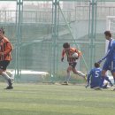 광양축구전용구장 축구전용1구장 Daum카페