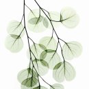 한남안경 이미지