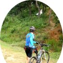 상봉MTB Daum카페