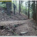 숲속에 바다 이미지