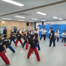 홀리드림태권도 이미지