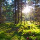 참조은날 이미지