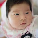 하연