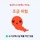 우정잉 소시오패스 테스트 결과.. 이미지