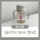 디테일퍼피&캣 | 모윰빨대컵 추천, 모윰 젖병호환 되는 원터치 빨대컵 170ml 솔직 후기