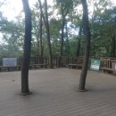 세븐일레븐 암사햇살점 | 서울 둘레길 2코스 (2-2) - 용마산, 아차산 코스 (난이도 중, 깔딱고개 쉼터 ~ 해맞이광장 ~ 아차산생태...