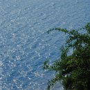 바다의숲 이미지