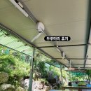 GS25 울산청량점 | 울산 울주 언양 등억알프스 닭 오리 백숙, 오리양념불고기 맛집인 감나무 산장 추천