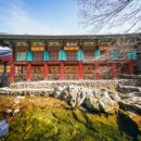 보물이네 이미지