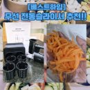베스트하임 제스톰 슬라이서 ESR-302 후기, 영양사가 사용해보니