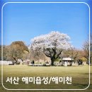 무장읍성 관광안내소 | 서산 벚꽃 명소 해미읍성 &amp; 해미천, 역사와 함께 즐기는 만개한 꽃길 산책 코스