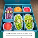 오복농장 | 고객님의 진심이 담긴 후기! 해찬향기 (레드샤인머스켓•고구마•귤)