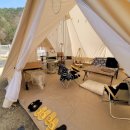 스테이위드독 이미지