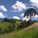 빛과 소금 이미지