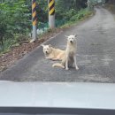 계명산나무숲길캠핑장 이미지