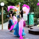 벨리댄스 이미지