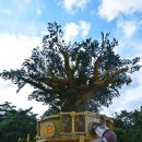 쇠평어린이공원 이미지