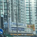군산행복한집 | 2025 군산북페어 후기+문학동네 팝업(주차 꿀팁 맛도리 추천)🔥