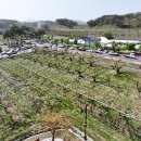 과일나라테마공원3 이미지