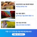 녹진정류소 | 해남 땅끝마을에 가면 무엇을 구경할 수 있을까? + 해남 주변 여행지까지!