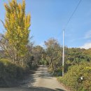 페트라숯불구이 | 장흥 부모님 모시고 가기 좋은 자연속 페트라 숯불구이 후기