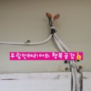 삼보로얄아파트 이미지