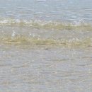 여남중학교 이미지