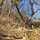 친환경스카이웨이 전망대 이미지