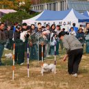 24시 리본동물의료센터 이미지