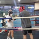 골든보이복싱체육관 이미지