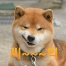 군포시유도회관(이마트에브리데이) | [GI 인터넷(홍보)팀장]각종 논란에 휩싸인 백 종원씨가 다시 심사위원으로 나와도 전혀 문제없이 시청률...