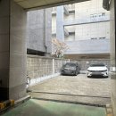 송화 | 송화양꼬치 잡내없는 양고급갈비 후기 수원양꼬치