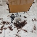 명동 에이뮤 헤어 | 명동 에이뮤 헤어 방문 후기: 가을 맞이 스타일 변신 성공!