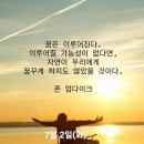 7월 2일 (화)아침을 여는 건강한 에코힐링(글 전체보기는 글주소 클릭!) 이미지