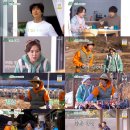 잉꼬하우스 이미지