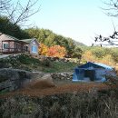 굴구지정원 이미지