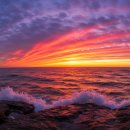 푸른신창 이미지