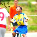 김제중앙초등학교 Daum카페