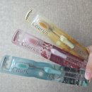 주식회사 씨앤제이헬스케어 | 셀루리치 칫솔 3개입 후기 | 이중모 딥클린 구조, 잇몸케어, 치석케어까지 되는 예쁜 칫솔 세트