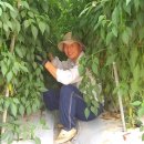 해신환경 이미지