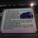 해다미펜션 이미지