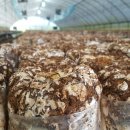 수현농장 이미지