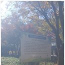 영등근린공원 이미지