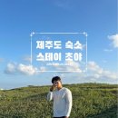 제주감성펜션 화담재 | [제주 여행] 제주 서귀포 감성숙소 스테이초야 펜션 솔직후기
