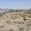 광광 농원 이미지