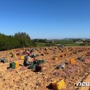 세중해운㈜ 이미지