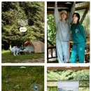 나이스사운드 이미지